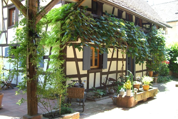 Arrivée chez Hansel et Gretel