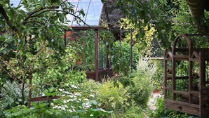 Un jardin luxuriant, avec une grande variété de plantes et une porte en bois.