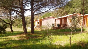 Una casa rustica con fondamenta in pietra, immersa nel verde e circondata da alberi.
