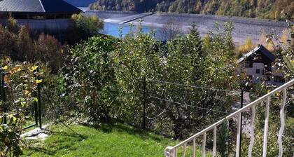 Vaujany, alpes d'huez, ski, bike, hike, trail chalet 40m2 2/5p,