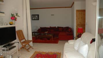 Télévision, lecteur de DVD, livres, imprimantes