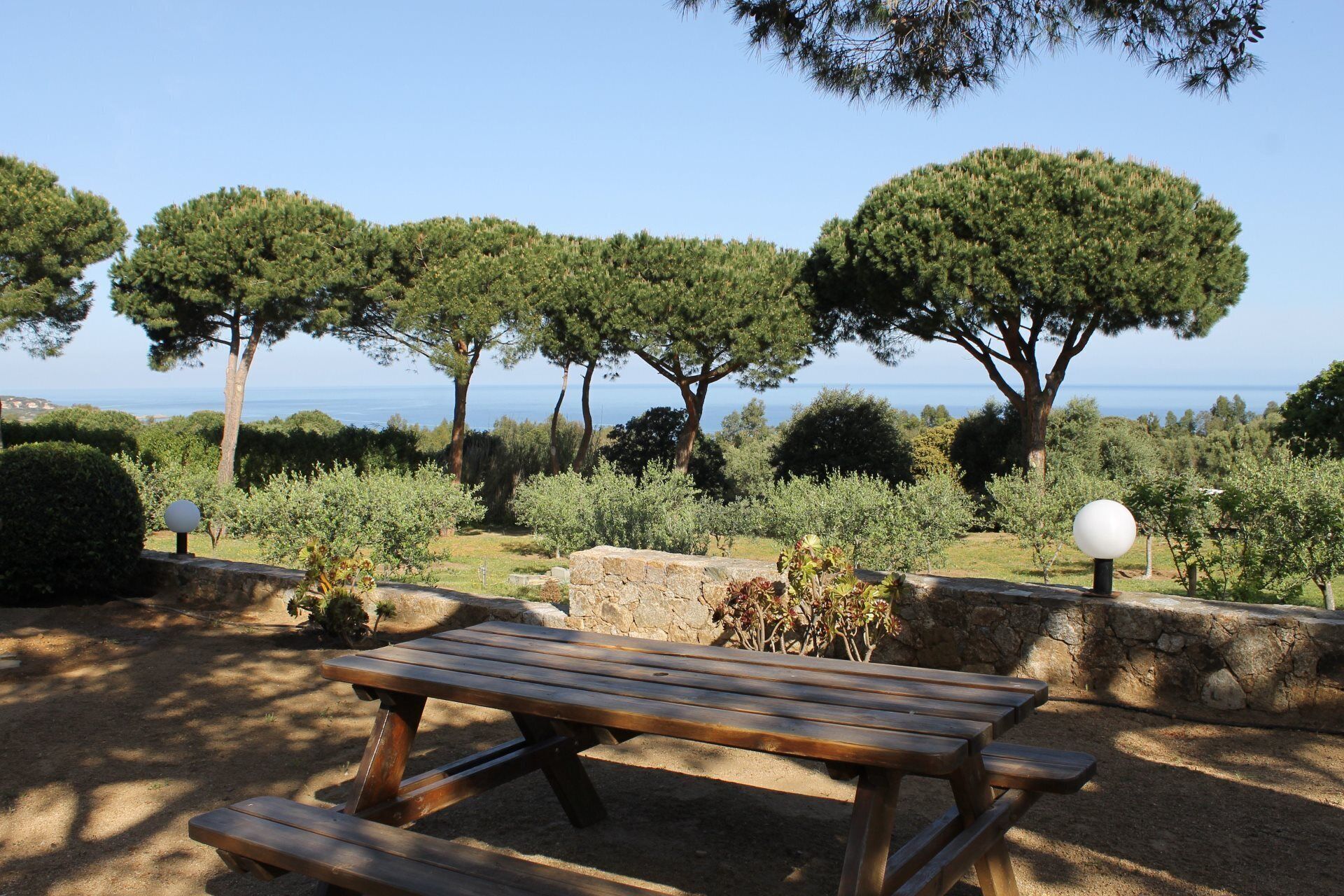 屋外ダイニングエリア