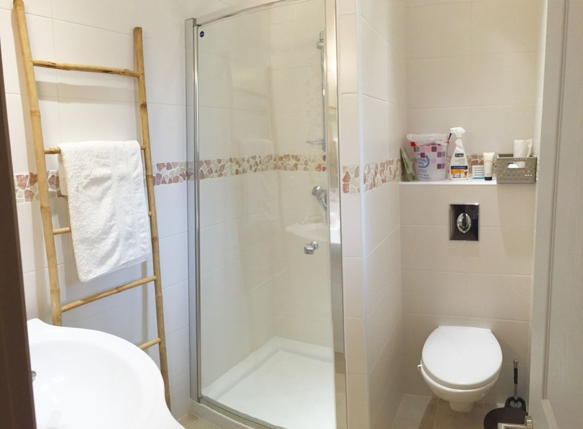 Een badkamer met een douchecabine van glas, een toilet en een wastafel.