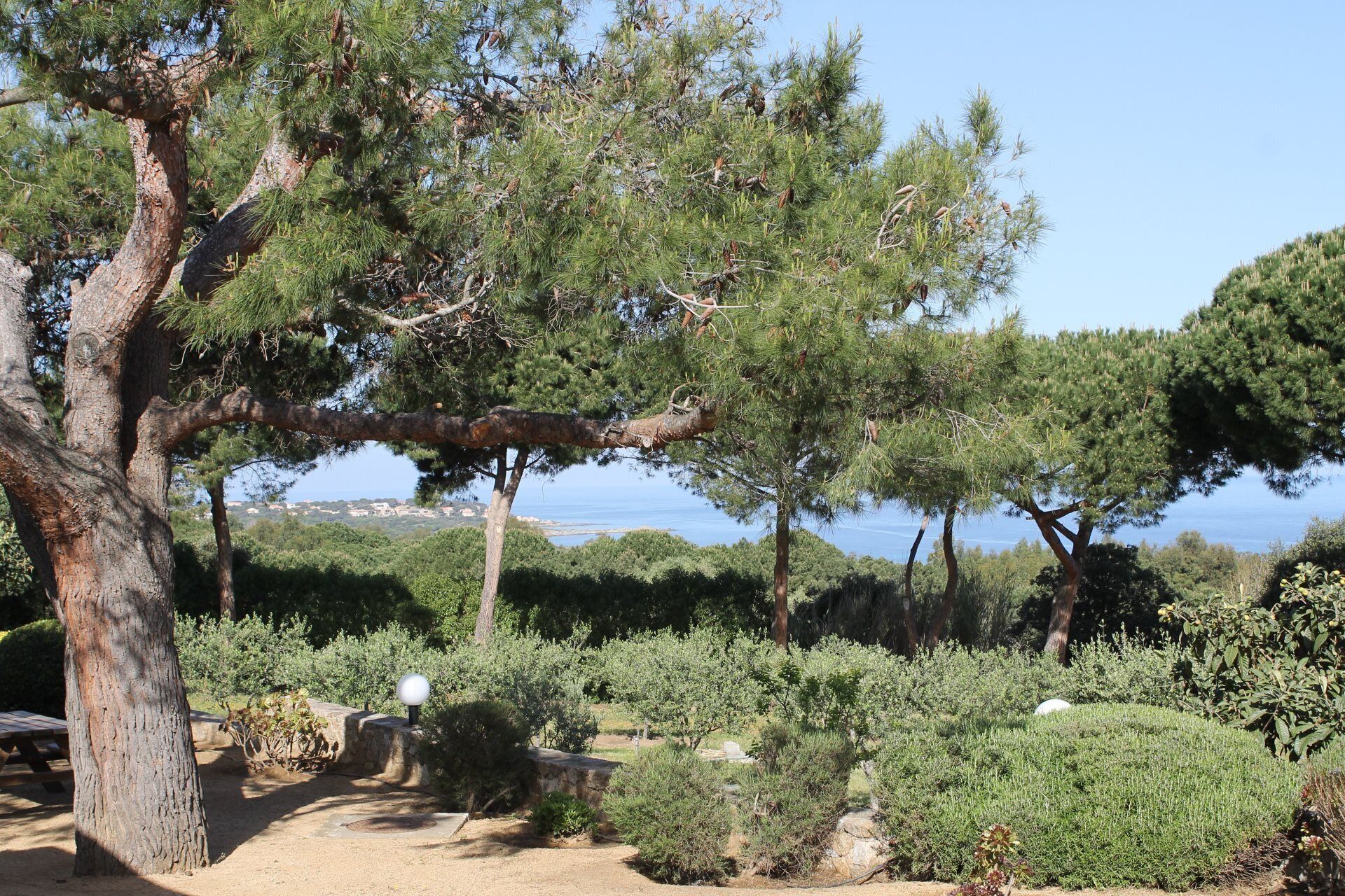 A park with mature trees, a picnic area, and a view of the sea.
