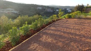 Un jardín con un sendero de grava y arbustos verdes, con vistas a un paisaje montañoso con casas.