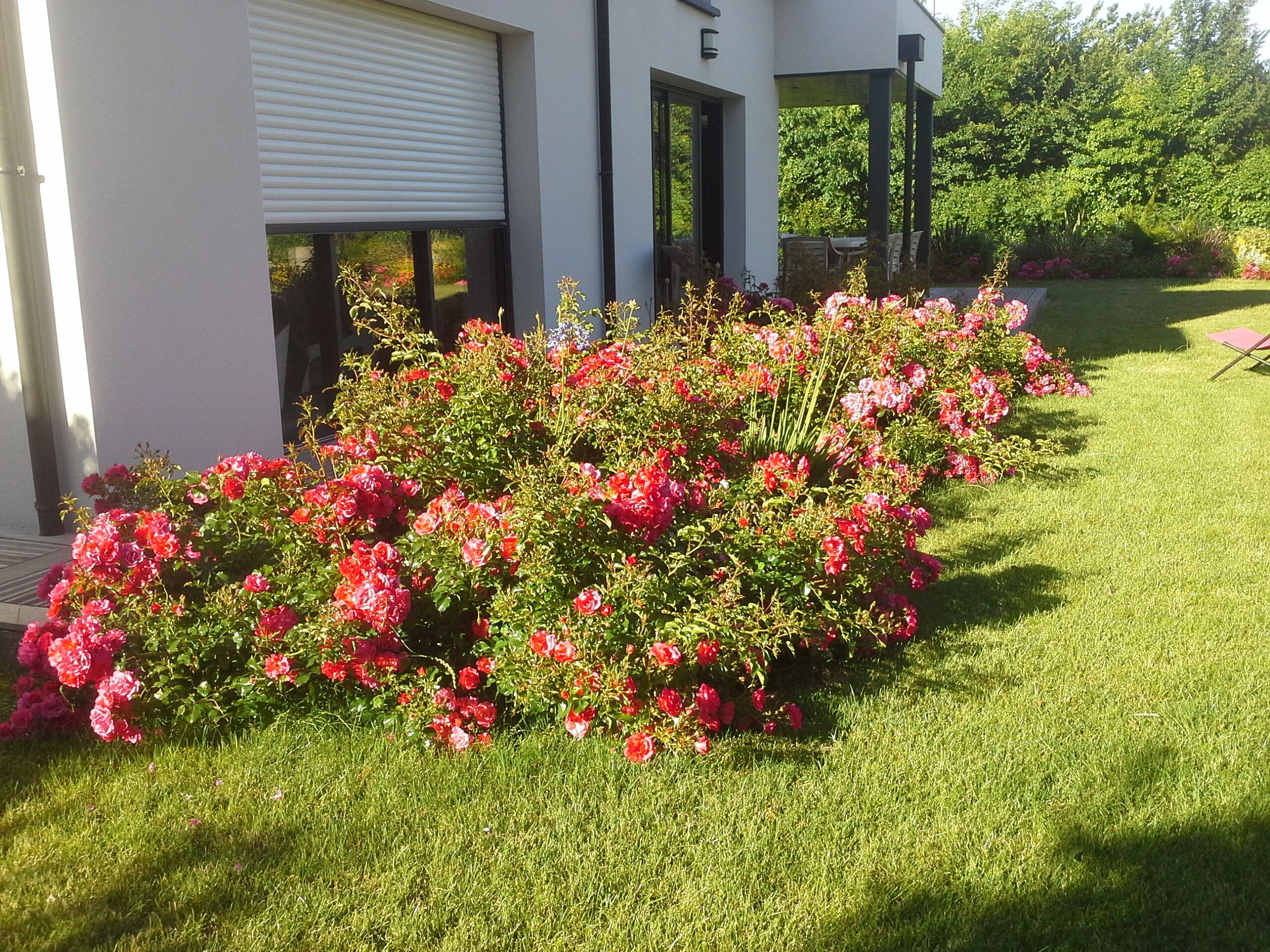 Terrain de l’hébergement 