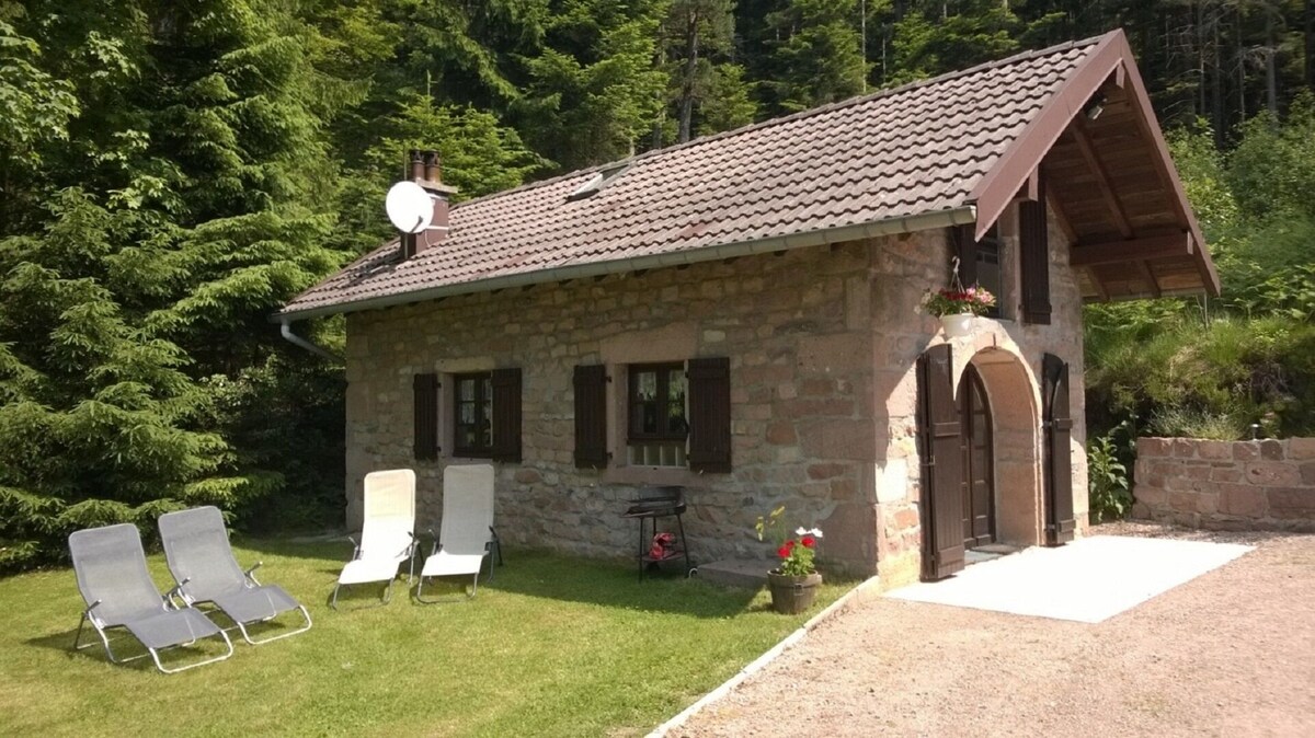 Imagen de perfil del propietario o de la propietaria