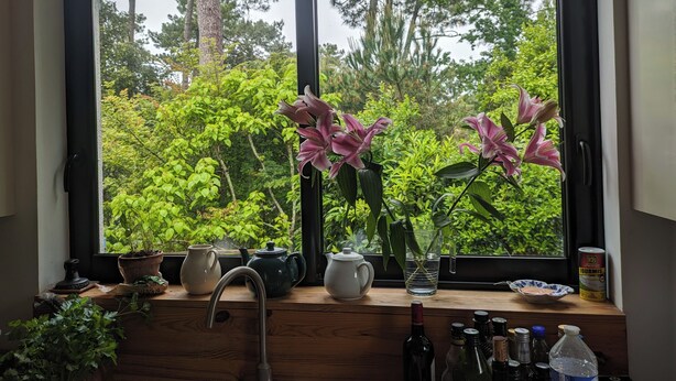 A kitchen with a window view of a lush garden, a sink, and various kitchen items. - ROYAN Charming house in the pines 400 m from the beach, Parc district  (Saint-Georges-de-Didonne)