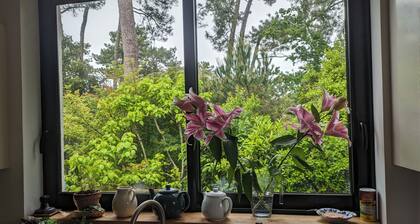 ROYAN Charming house in the pines 400 m from the beach, Parc district