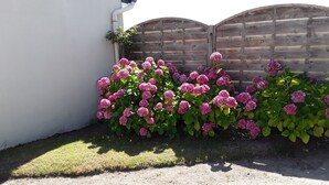 Un jardín con flores rosadas y una valla de madera.