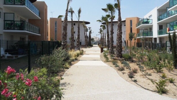 A pathway flanked by modern buildings with balconies, palm trees, and a sandy area with plants. - SERIGNAN - Apartment for 4 people with air conditioning (Sérignan)
