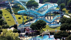 Un parc aquatique doté de nombreux toboggans et de plusieurs piscines, entouré d’arbres et de zones verdoyantes.