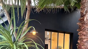 A modern building with a window, surrounded by various plants and a palm tree.