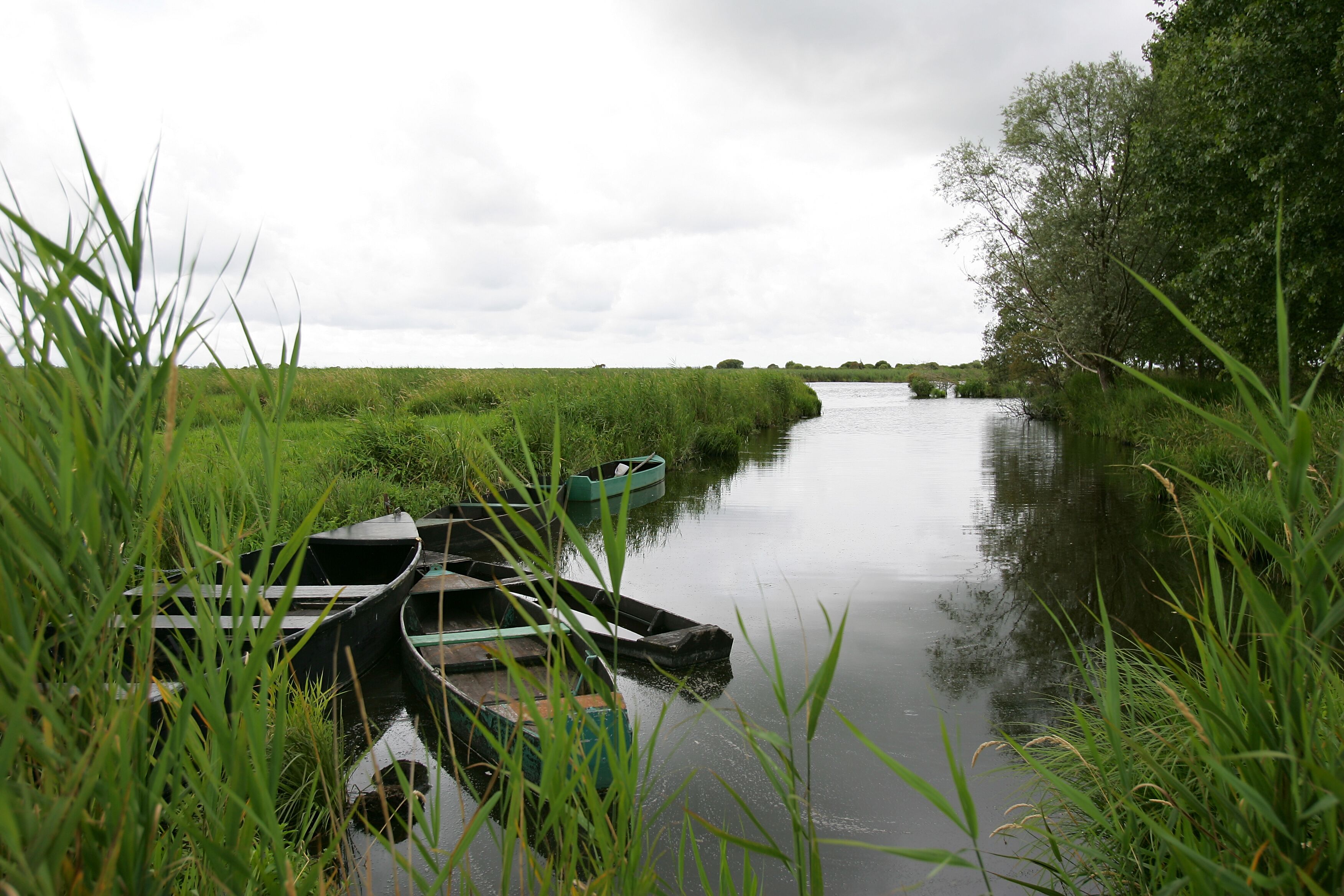 A narrow waterway with boats docked on the left and a grassy bank on the right.