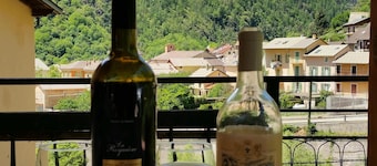 Comfortable family chalet between the ski resorts of Isola 2000 and Auron