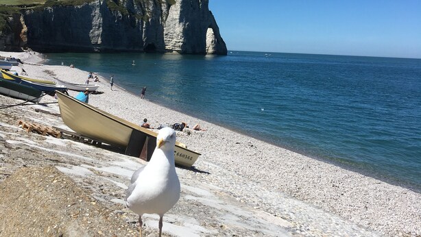 Una spiaggia con barche, un gabbiano e scogliere sullo sfondo.