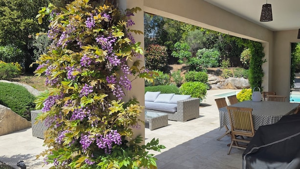 Un portico riparato con piscina, mobili da esterno e rigogliosa vegetazione.