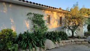 Un edificio con tetto in tegole, parete in pietra e un giardino con diverse piante e un albero.