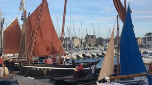 Un puerto deportivo con varios veleros amarrados, un muelle de madera y cielo despejado.
