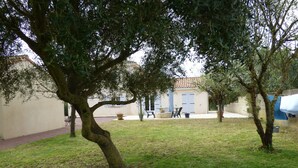 Un pati amb un arbre, un edifici amb teulada ceràmica i una tenda blava.