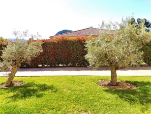 Property grounds - New air-conditioned apartment 4 pers with garden near the beaches of Saint Florent (Oletta)