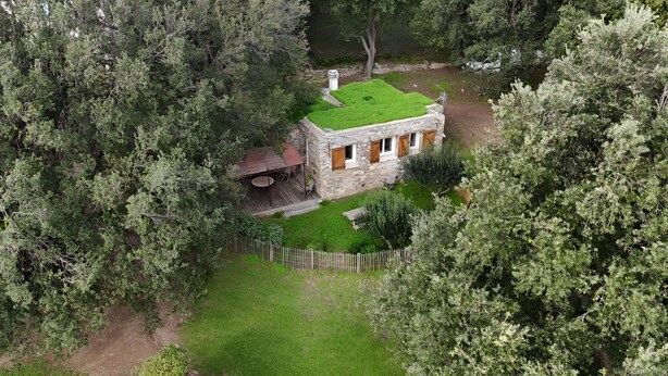 A stone house with a green roof surrounded by dense trees. - Corsican charming house  (Brando)