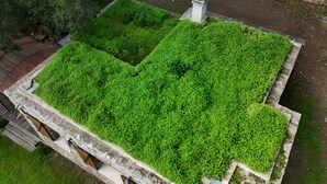A rooftop garden with a stone retaining wall and a small statue. - Corsican charming house  (Brando)