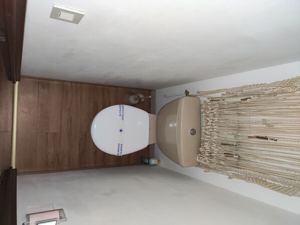 Combined shower/bathtub, hair dryer