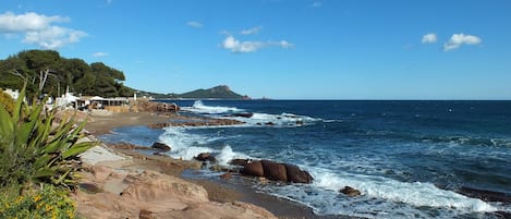 在海滩