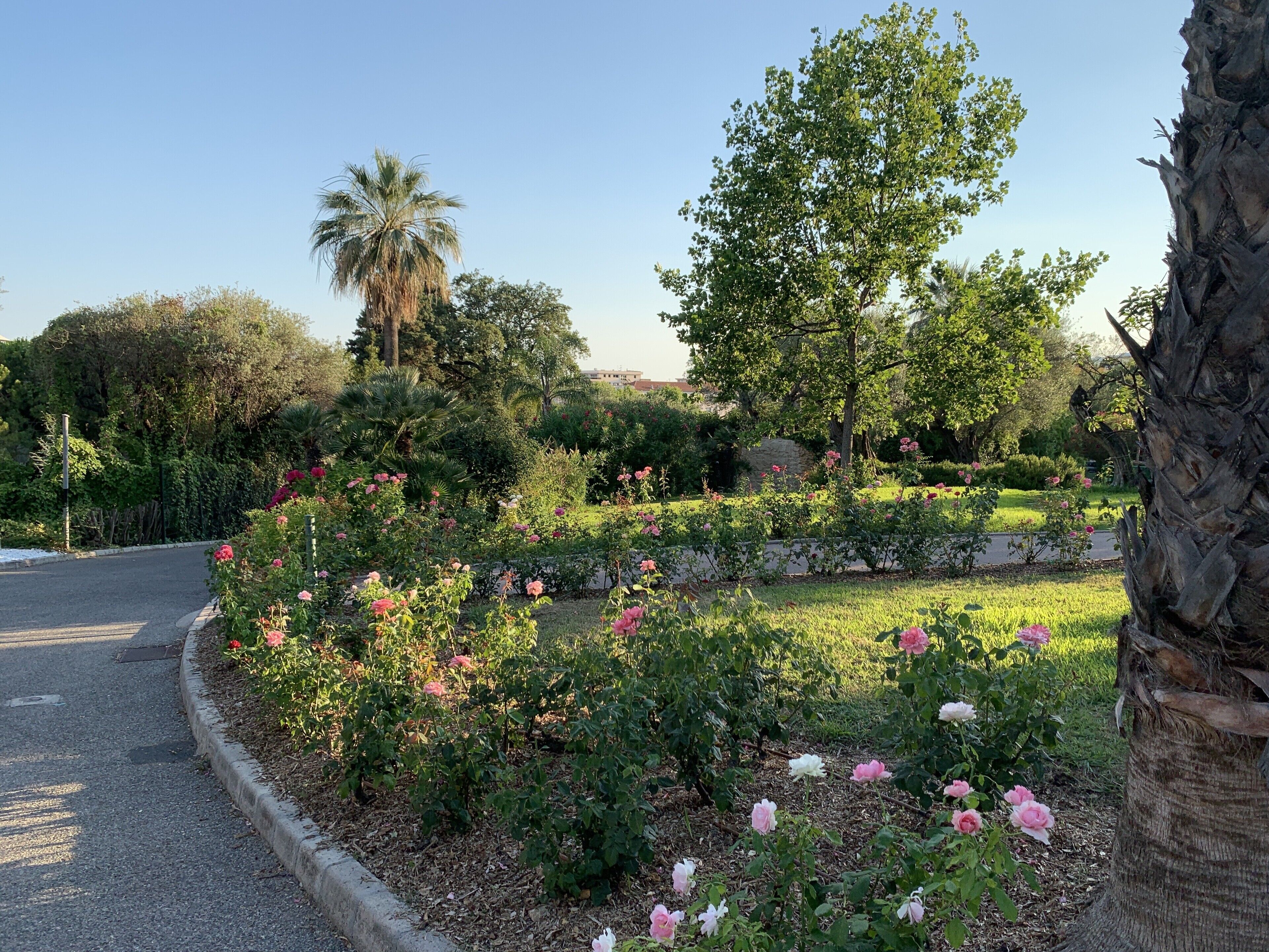 A garden with various flowering plants and trees, a curved road, and a stone wall.