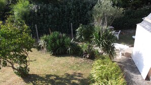 A garden with various plants and a white building in the background.