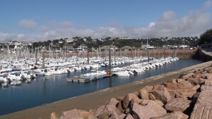 A marina with numerous boats docked, a rocky breakwater in the foreground, and houses in the background.