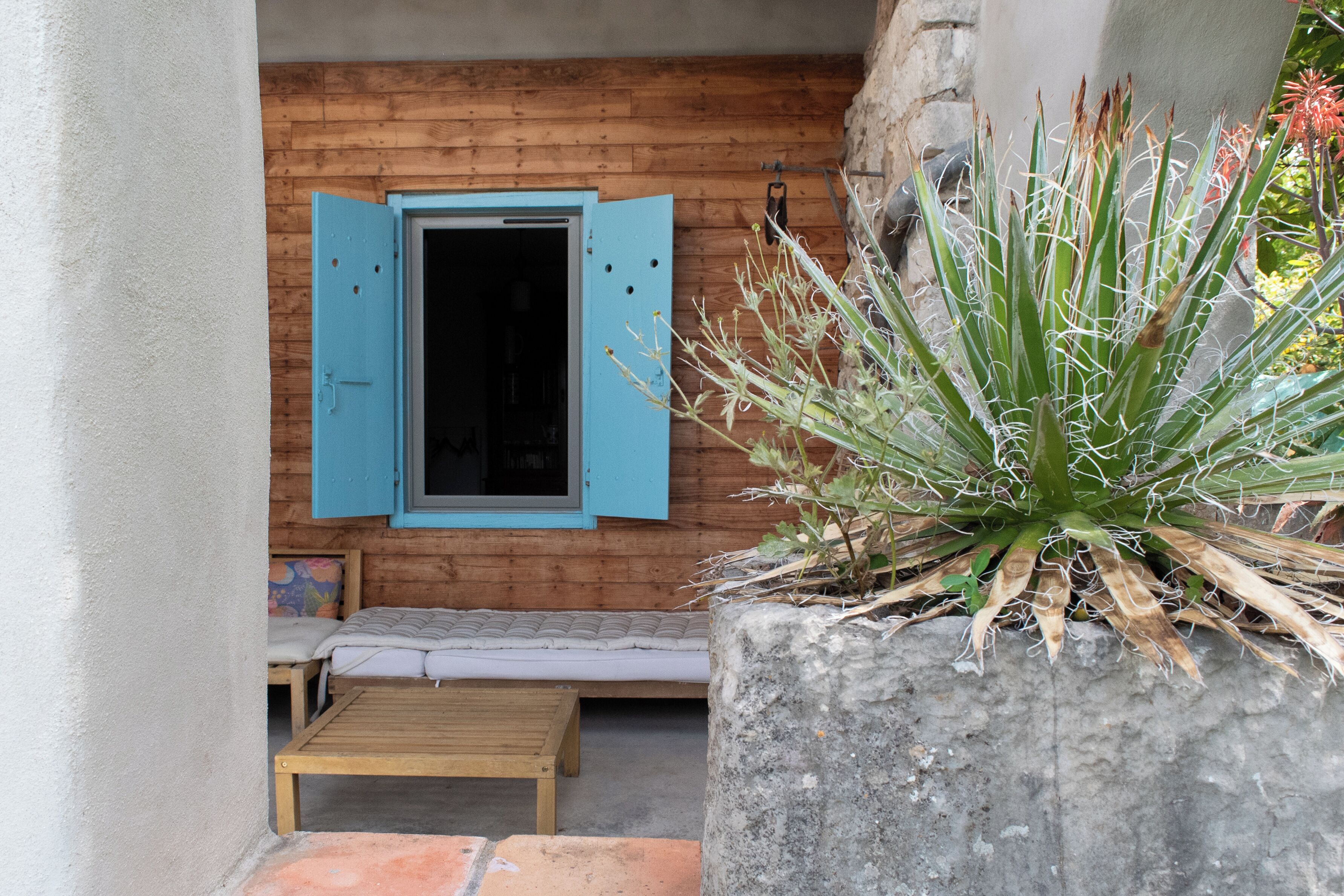 A wooden cabin with a blue-framed window, a small wooden bench, and a large agave plant.