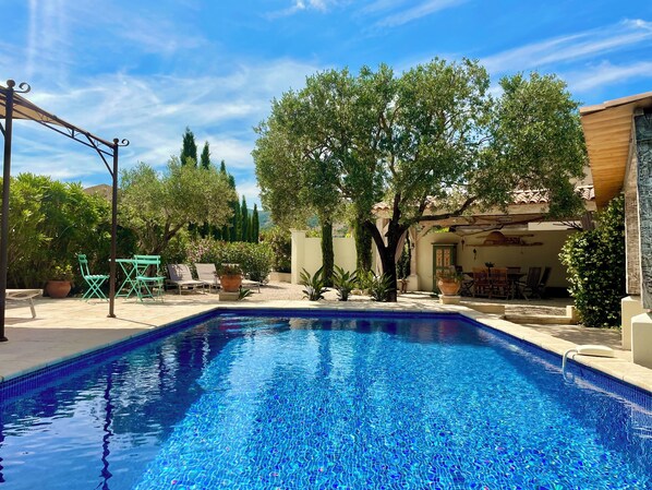 A swimming pool with a tiled edge, surrounded by potted plants and outdoor furniture.