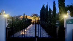 Una entrada con reja y un camino que lleva a un edificio, rodeado de árboles altos y un cielo despejado.
