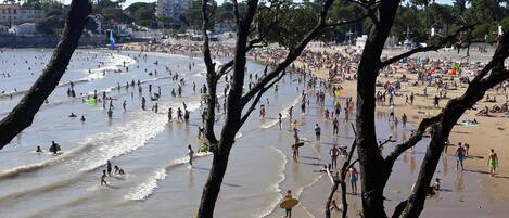 Plage à proximité