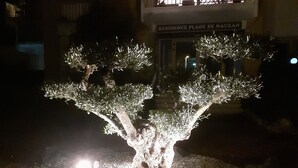 Uma árvore bonsai bem iluminada em uma área de jardim com uma placa indicando "Residence Place De Nauzan".