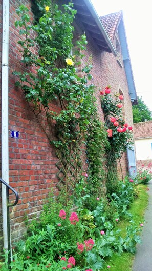 Exterior detail - Renovated house in Grange. Typically Village Picard in Baie De Somme. (Somme)