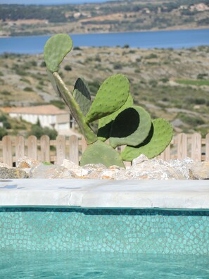 Exterior detail - Luxury villa, exceptional sea view, heated pool, May to October 4 bathrooms (Fitou)