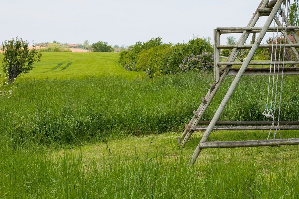 Paisaje rural con un columpio de madera en un campo cubierto de hierba.