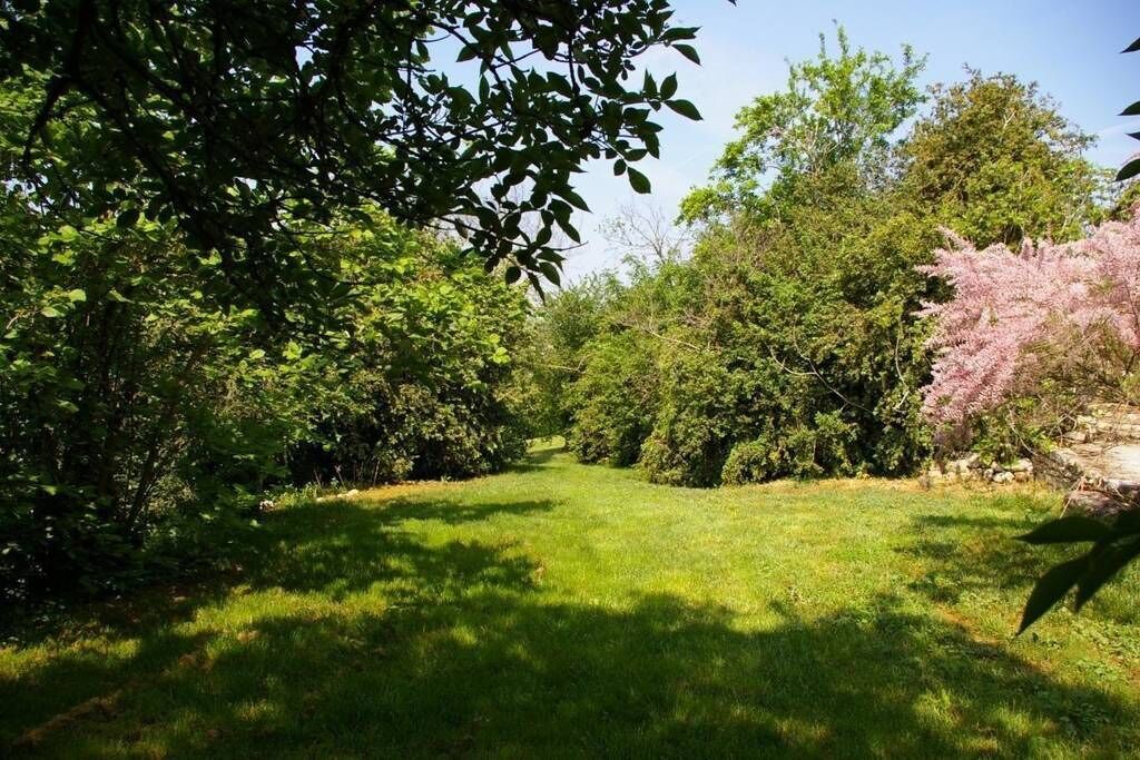 A lush garden with a variety of trees and shrubs, a well-maintained lawn, and a stone pathway.