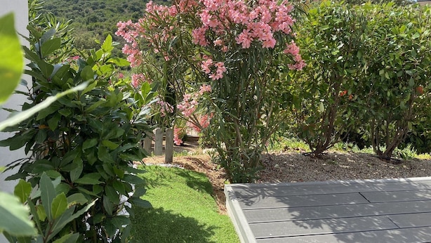 A garden with a variety of plants and a wooden deck. - New air-conditioned T2/3 MINI loft near the paradisiacal beaches of the South Shore (Grosseto-Prugna)