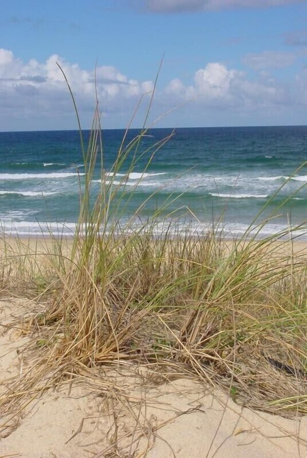 Nära stranden