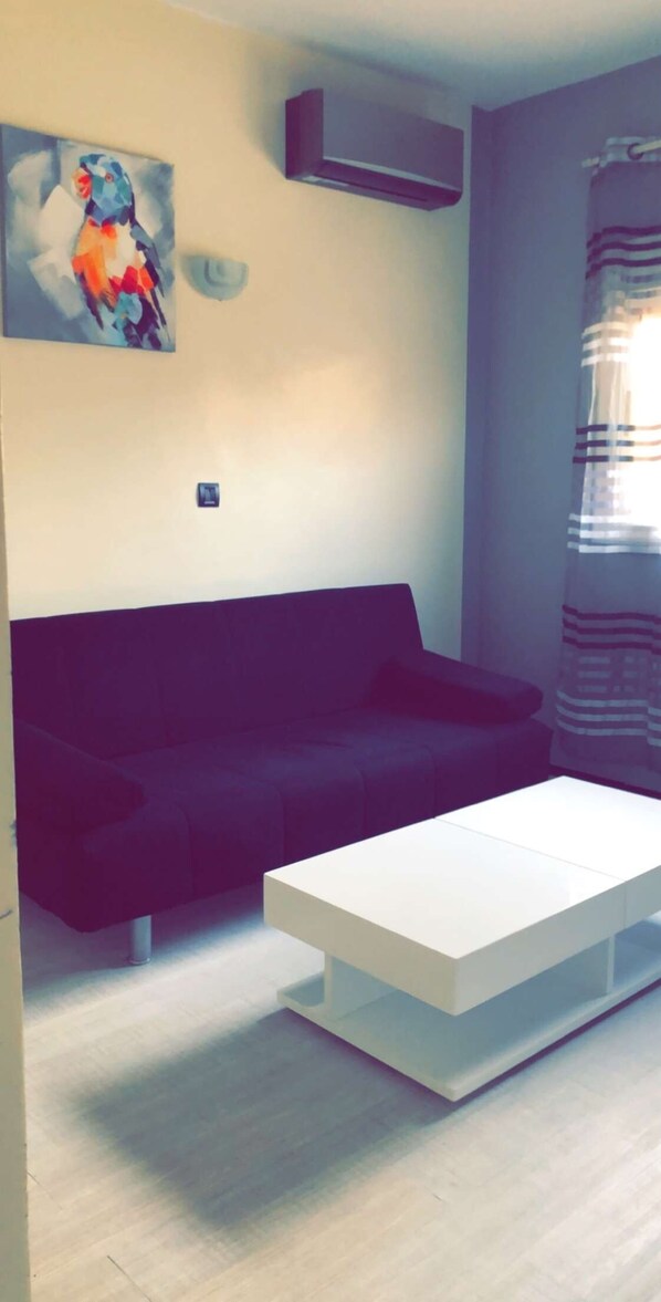 تلفزيون، مشغل دي في دي