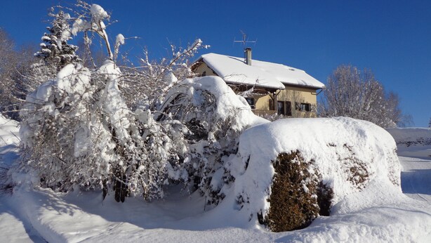 A snow-covered house with a chimney, surrounded by snow-laden trees and bushes. - House for rent in the Haut Jura (Longchaumois)