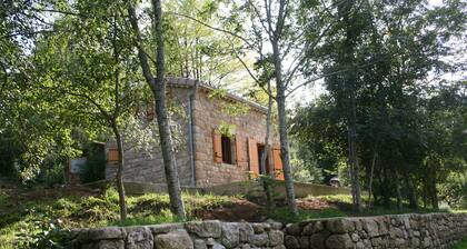 Little House in Ardèche Beautiful view