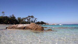 Une plage avec une eau turquoise et limpide, de gros rochers et des arbres en arrière-plan.