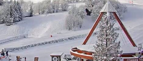 Wintersport/Ski