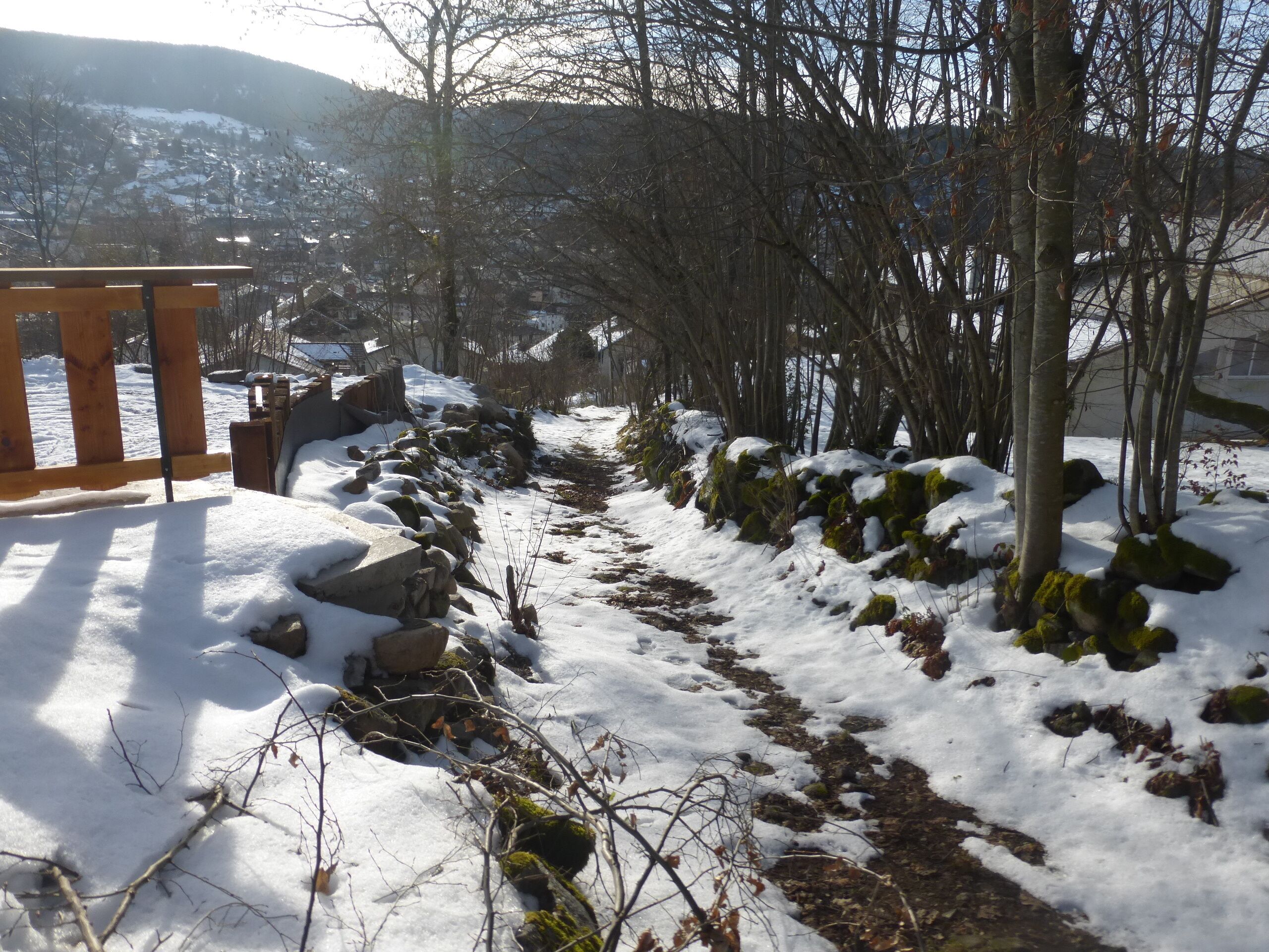 A snow-covered path with wooden benches and rocks, surrounded by trees and a distant view of houses.