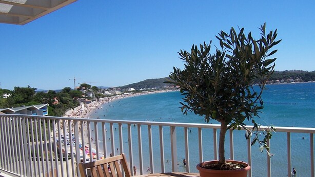 Een balkon met een houten tafel en een olijfboompje in een pot, met uitzicht op een strand met mensen en een helderblauwe lucht.
